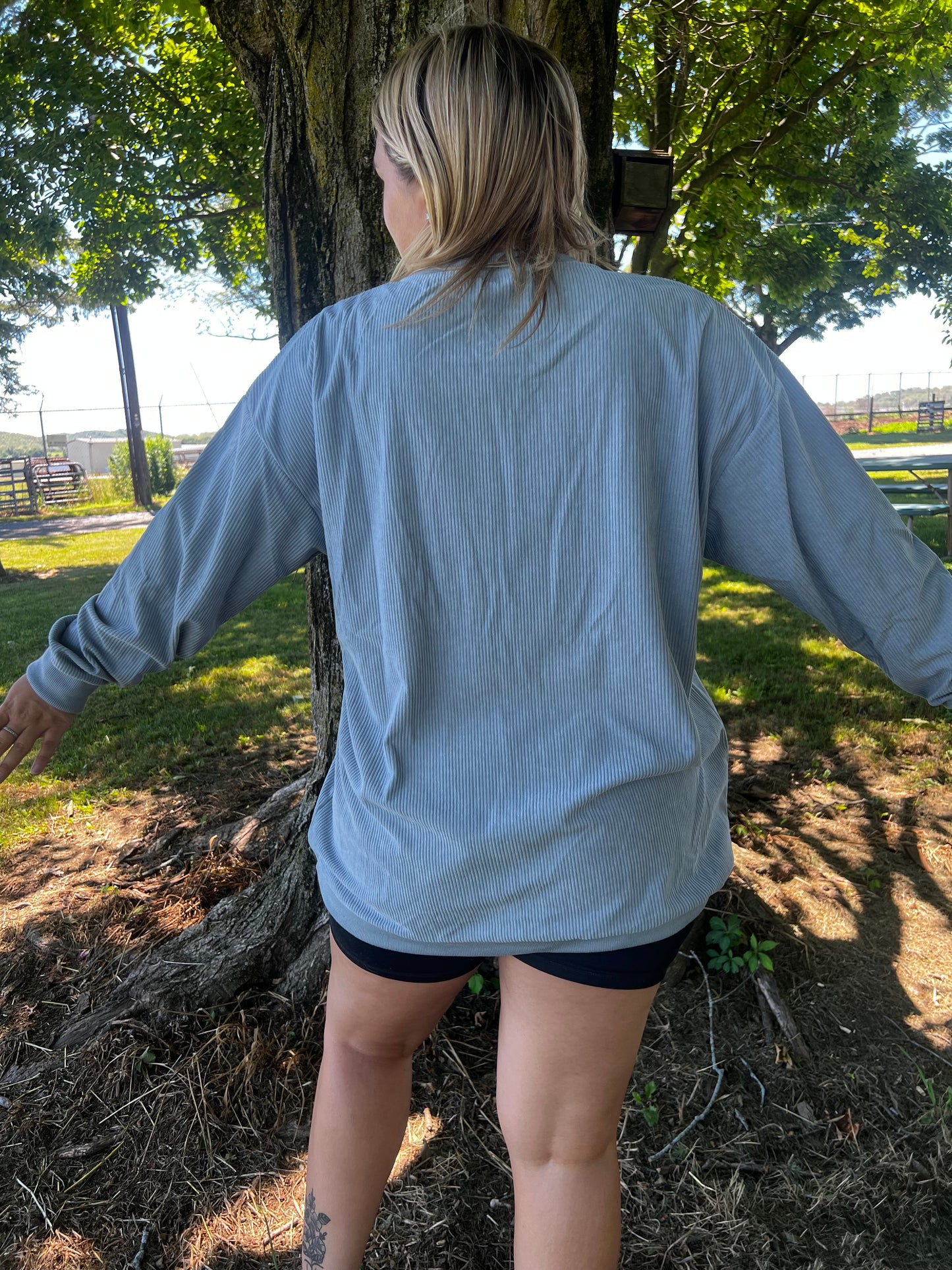 howdy crewneck