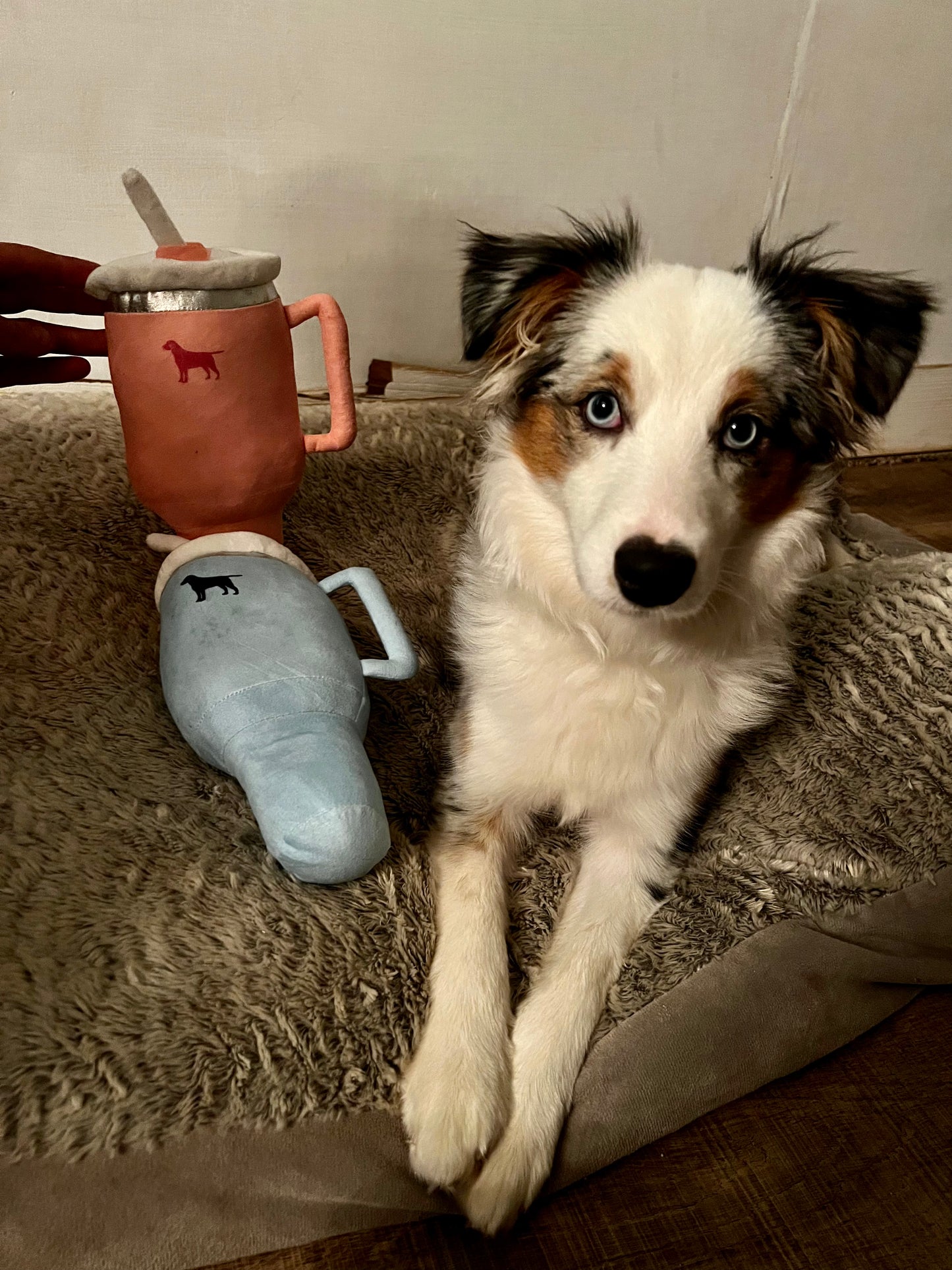 pup cup tumbler