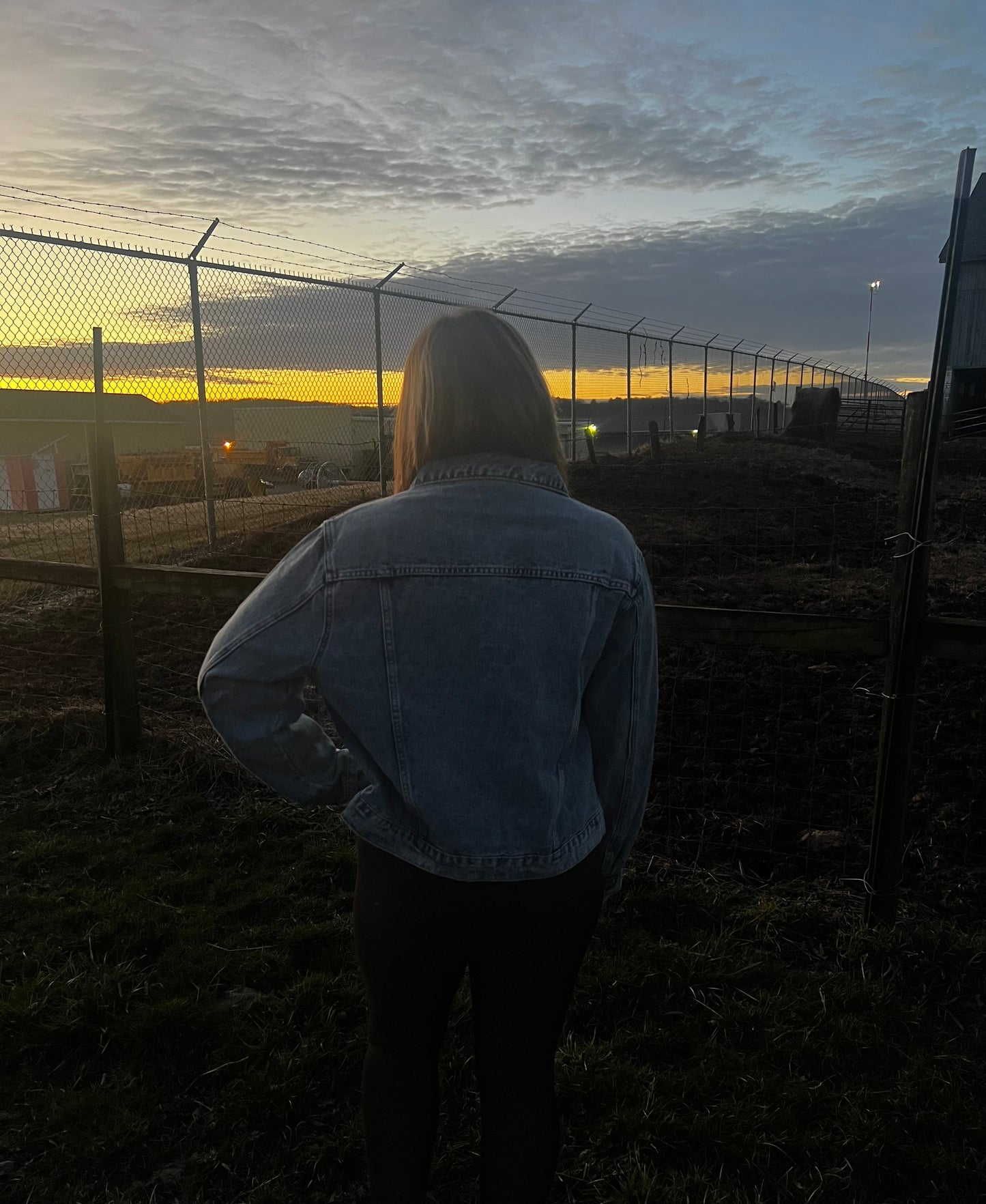 cow jean jacket
