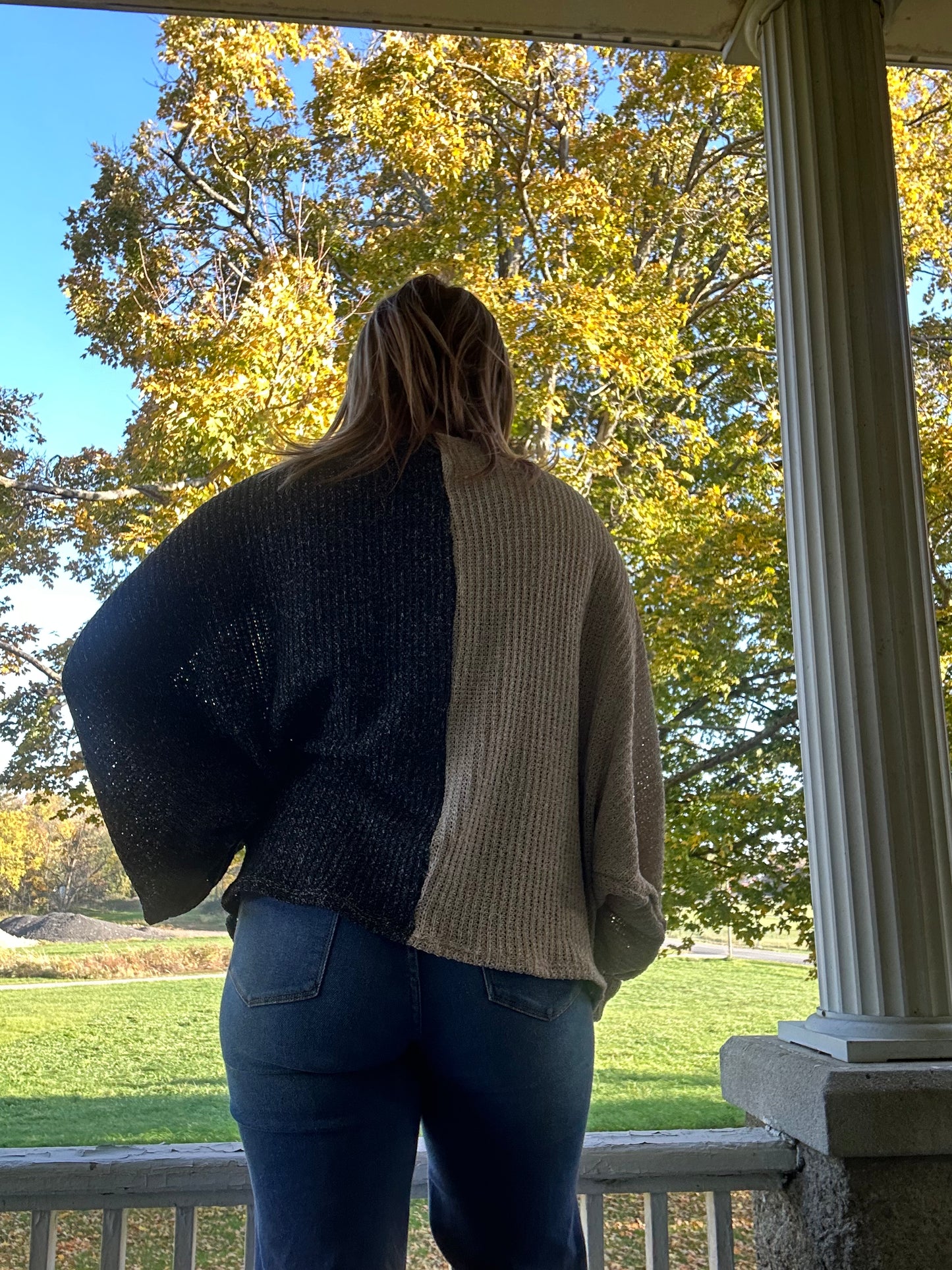 Plus size block sweater